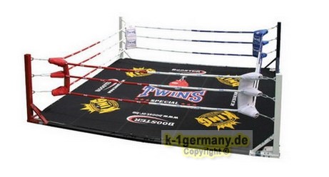 TWINS - Trainings Ring